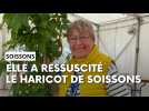 L'histoire du haricot de Soissons, retrouvé après 50 ans