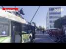 VIDEO. Royal de Luxe : au réveil, le câlin du Xolo à Bull machin