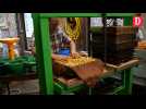 Aveyron : à Saint-Parthem, l'atelier de pressage associatif des Amis du Verger fait le plein
