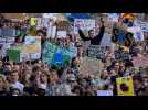 Manifestations pour le climat : les Européens descendent massivement dans les rues