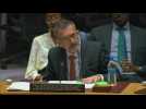 UN representative to Sudan, Volker Perthes, says resigning - Label : AFPTV - First images - Category : News