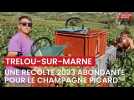 Aisne : une récolte abondante pour le champagne