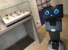 VIDÉO. Au Mans, un robot dans le musée Jean-Claude-Boulard - Carré Plantagenêt