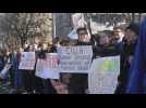 Images of pro-Kremlin demonstration in front of the US embassy in Moscow