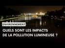 Pollution lumineuse : un danger pour la santé et pour l'environnement