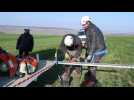 Relèvement d'un bras de pylone électrique par RTE pour sécuriser une parcelle agricole à Chierry