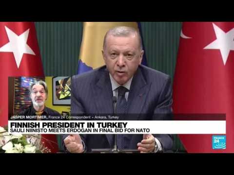 Finnish President Niinisto meets Turkey's Erdogan in final bid for NATO