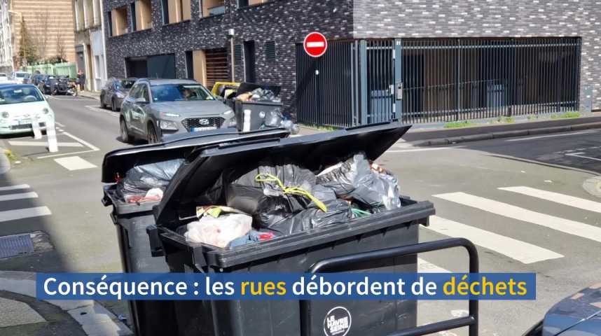 Vidéos : Comment louer une voiture électrique à des prix raisonnables. -  Paris-Normandie