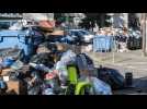 Grève des éboueurs : des milliers de tonnes de déchets encombrent les rues de Paris