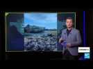 Guerre en Ukraine : les chars Leopard à nouveau embourbés dans les infox