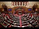 VIDÉO. Réforme des retraites : les images du Sénat qui adopte le projet de loi