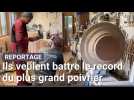 La Capelle-lès-Boulogne : ils veulent battre le record du plus grand poivrier