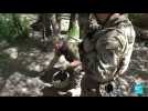 War in Ukraine: Armed forces gird for counteroffensive