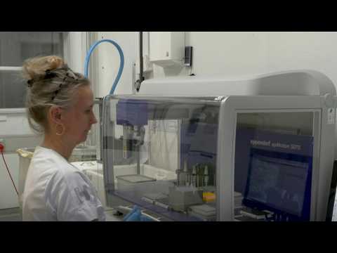 Early blood test may unravel secrets of pregnancy loss