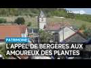 Bergères : la journée des plantes au chevet du patrimoine