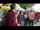 À Brest, le festival des FANFARES! se mêle à la Foire aux croûtes