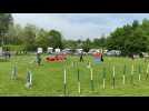 Concours canin d'agility à Boulzicourt