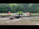 Le canal de la Haute-Seine se vide, la forêt se remplit après l'effondrement de la vélovoie
