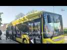 Mobilité en Hauts de Flandre : et si une ligne de bus gratuit était mise en place ?