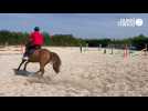 VIDEO. Les Almadies, le petit paradis normand des amoureux des chevaux