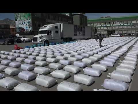 Bolivia seizes 9.2 tons of illegal coca leaves