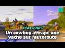 Aux États-Unis, un cowboy attrape au lasso une vache sur l'autoroute
