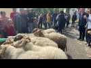 Laon fête la nature