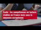 VIDÉO. École : les compétences en lecture stables en France mais sous la moyenne européenn