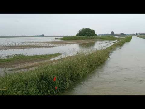 Fields near Ravenna left underwater as Italy hit by deadly floods