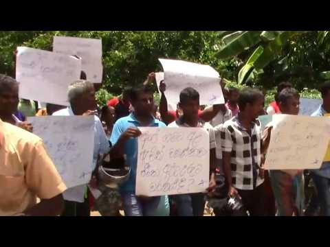 Sri Lanka farmers protest after elephants destroy crops