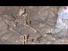 Grotte de Foissac: des squelettes du Néolithique intéressent les chercheurs