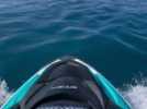 Des dauphins accompagnent des jetskis au large d'Antibes