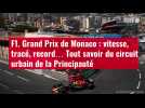 VIDÉO. F1. Grand Prix de Monaco : vitesse, tracé, record... Tout savoir du circuit urbain de