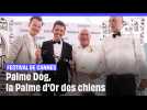 Festival de Cannes : Palme Dog, la Palme d'Or des chiens