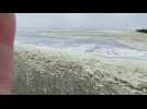 À Wimereux, la tempête provoque des accumulations de mousse sur la plage