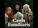 Canis Familiaris : Coup de coeur de Télé 7