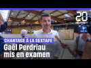 Chantage à la sextape : Gaël Perdriau mis en examen