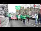 Delhaize : plusieurs milliers de personnes à Liège en soutien aux travailleurs