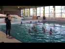 Montreuil : retour dans le grand bain pour l'équipe masculine de natation synchronisée