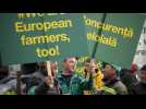 Céréales ukrainiennes : des agriculteurs d'Europe de l'Est montent au créneau