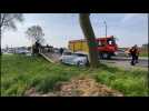 Ternois : une voiture de collection percute un arbre, un blessé grave