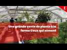 Annecy : quels avantages a la vente de plants pour Ceux qui sèment ?