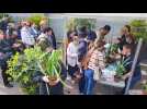 Lille jardin des plantes adoption de plantes de la serre