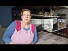 Christine Wuillai-Broutin est la fondatrice de Cat pattes bleues, à La Londe