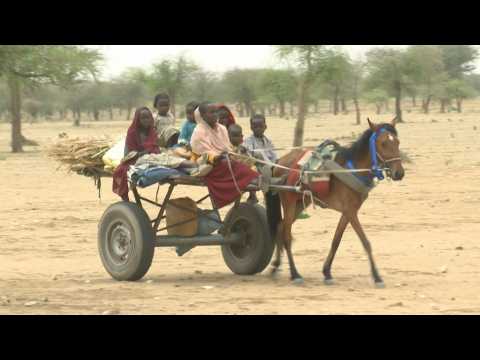 Sudanese refugees cross the border into Chad