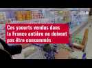 VIDÉO. Ces yaourts vendus dans la France entière ne doivent pas être consommés