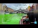 Eau verte dans le Grand canal de Venise : mystère sur l'origine de la coloration