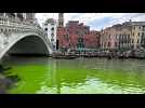 The waters of the Grand Canal in Venice turn bright green