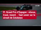 VIDÉO. F1. Grand Prix d'Espagne : vitesse, tracé, record... Tout savoir sur le circuit de Ca