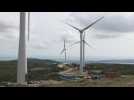 Dans l'Aude, l'éolien a plus que jamais le vent en poupe